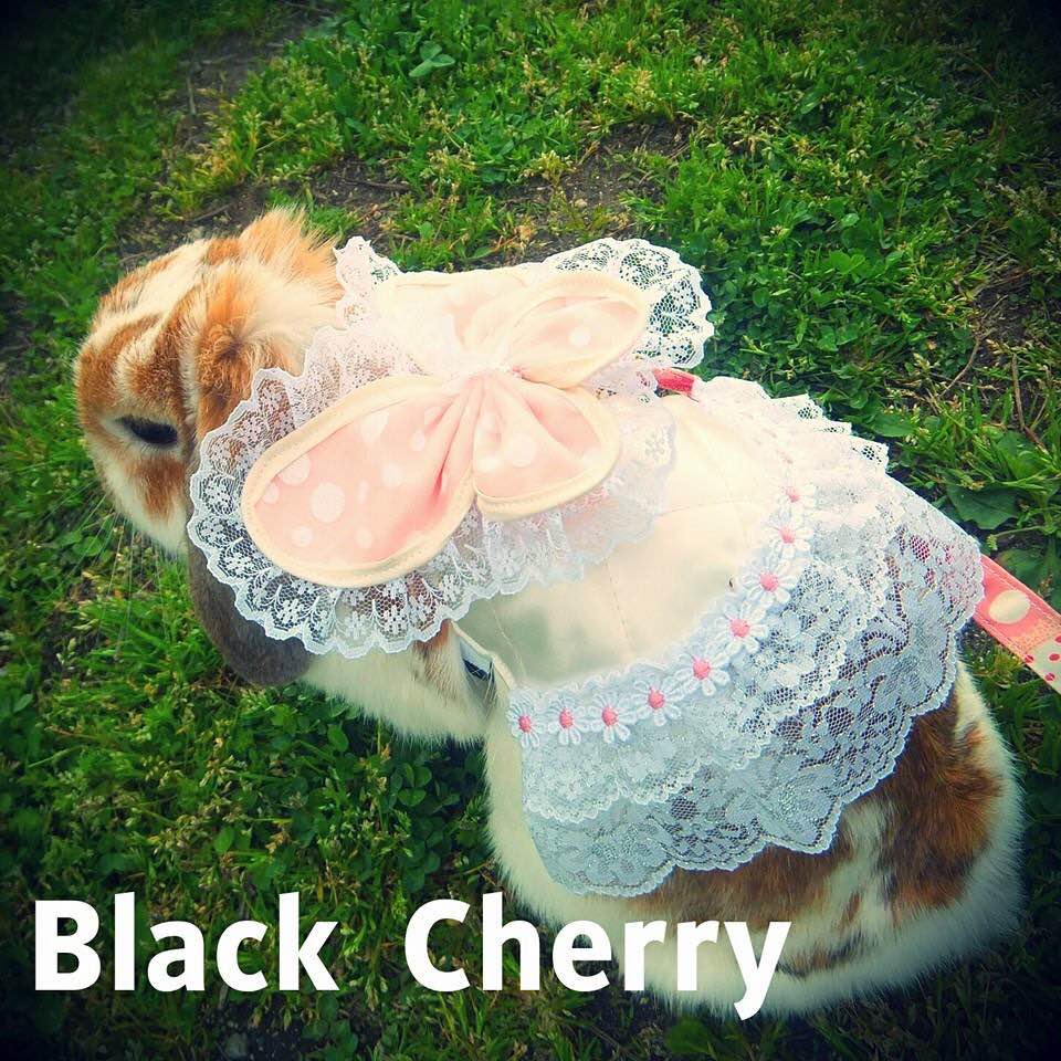 Black  Cherry