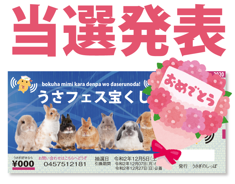 うさフェス宝くじ Webうさ うさフェス宝くじ Webうさ