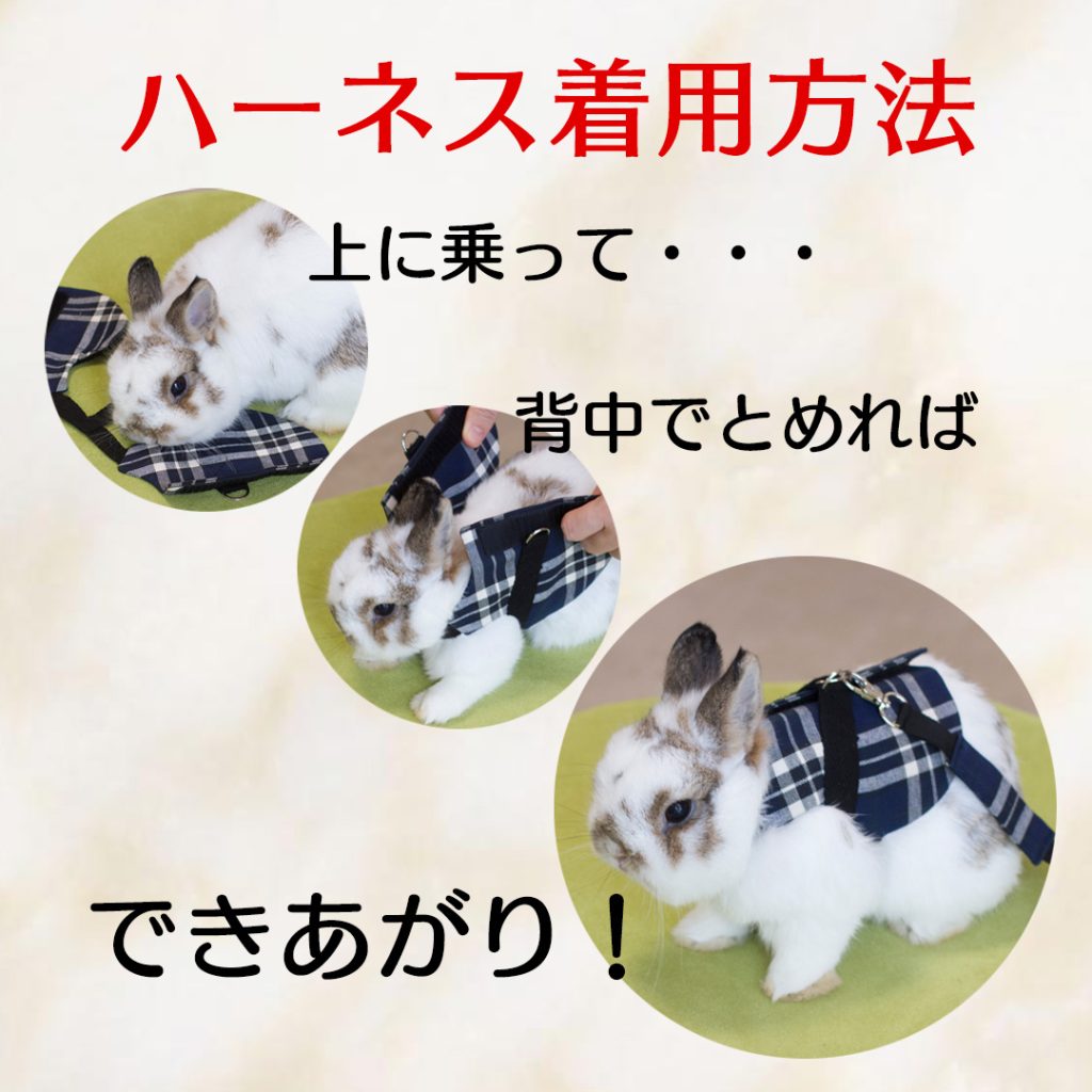 株式会社クーポラ うさぎの休日 | メーカー | うさフェスタ2022