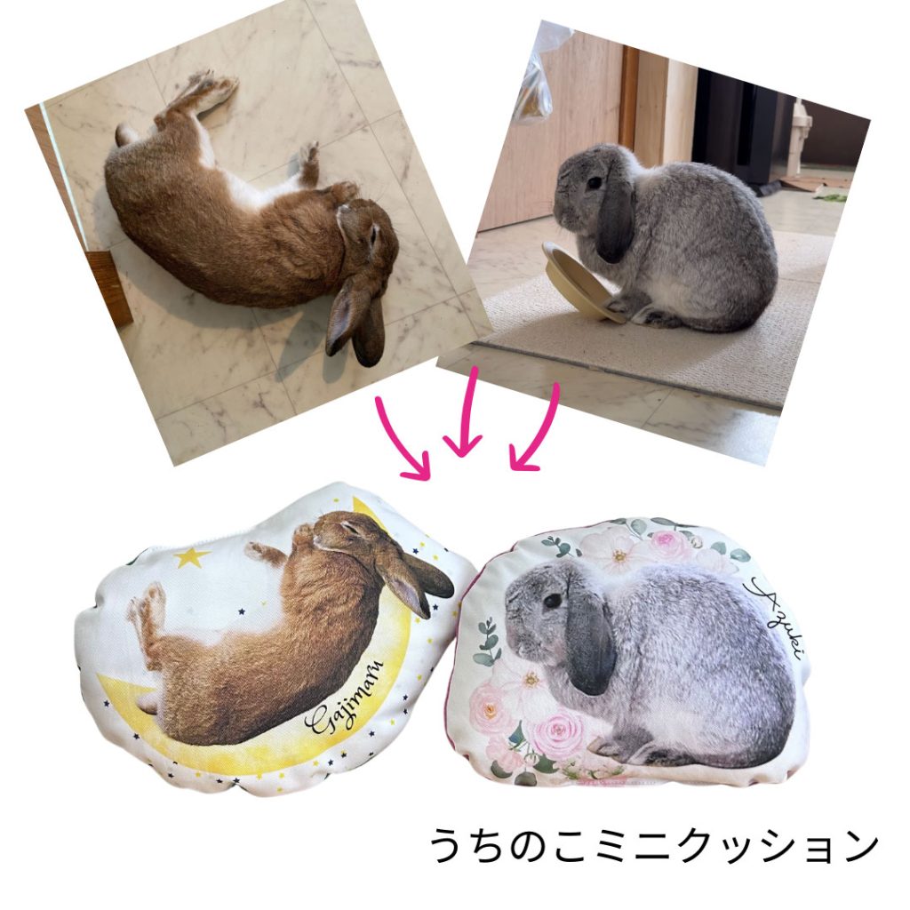 sample