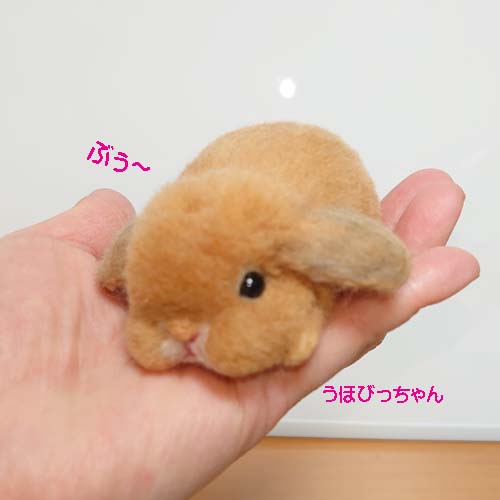 sample
