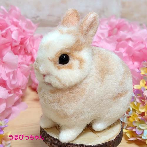 あぱぱHand Made TAKANO | うさぎ作家 | うさフェスタ2024