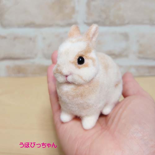 sample