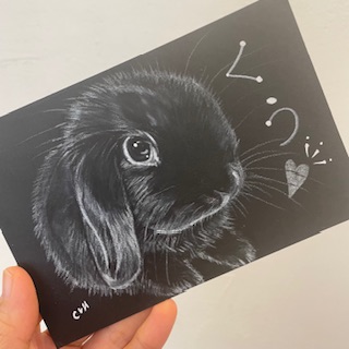 sample