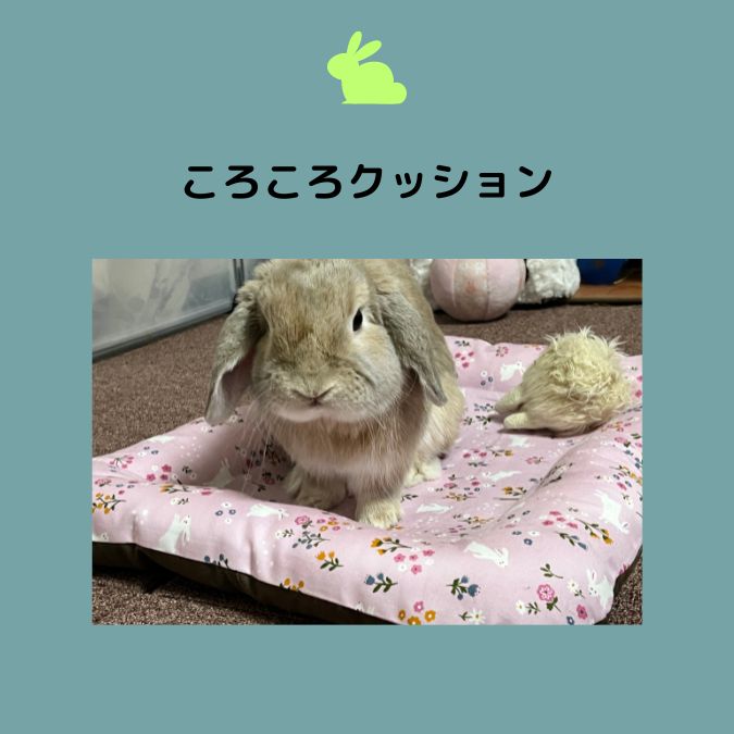 ぴょんぴょんうさぎ | うさぎ作家 | うさフェスタ2024