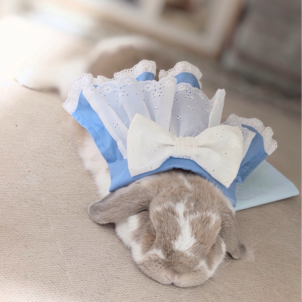 sample