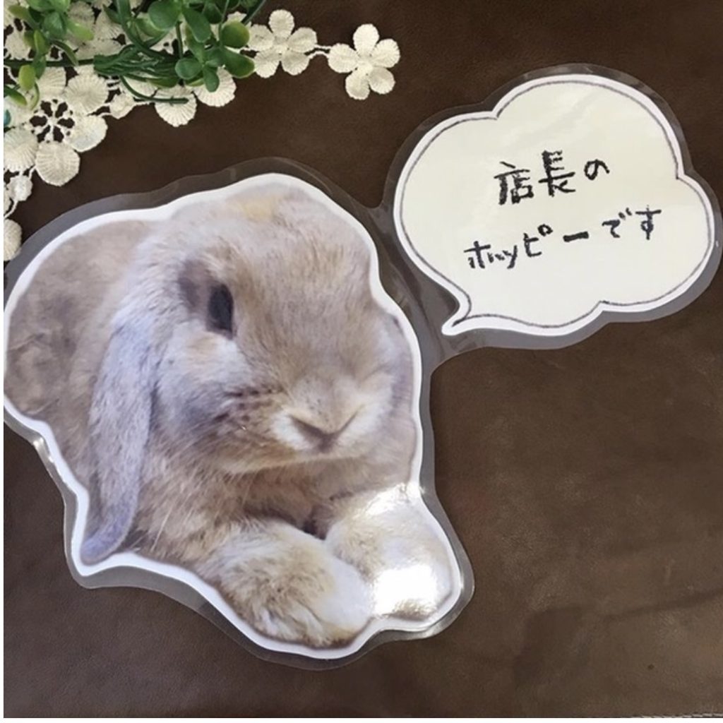 sample